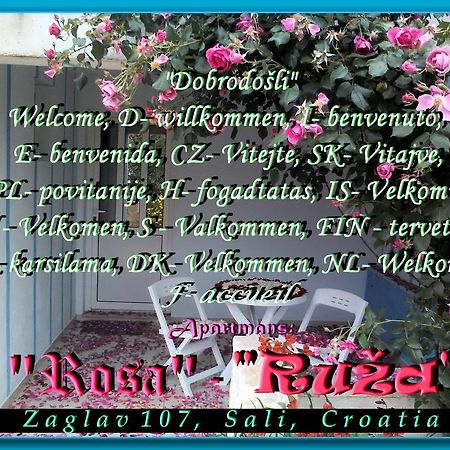 Apartment Ruza 萨利 外观 照片